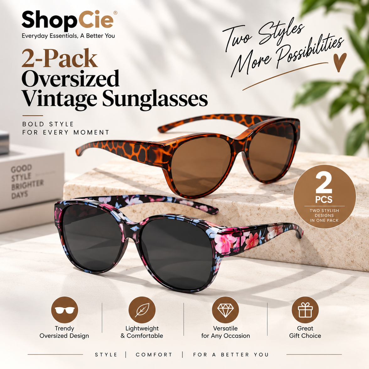 2-Pack Oversized Vintage Sunglasses – Retro Statement Fashion Shades